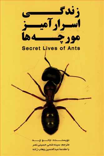 زندگی اسرار آمیز مورچه ها 