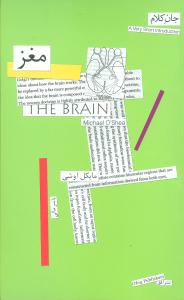 جان کلام (مغز)